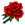 Rosa Roja.png